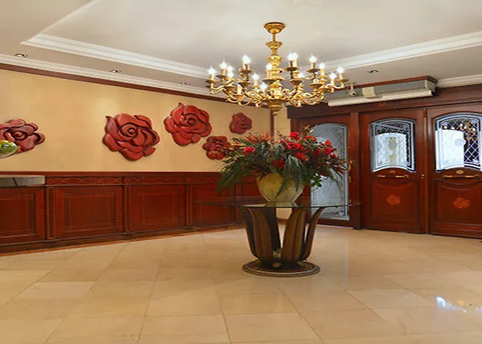 Pera Rose & - Special Category 伊斯坦布尔